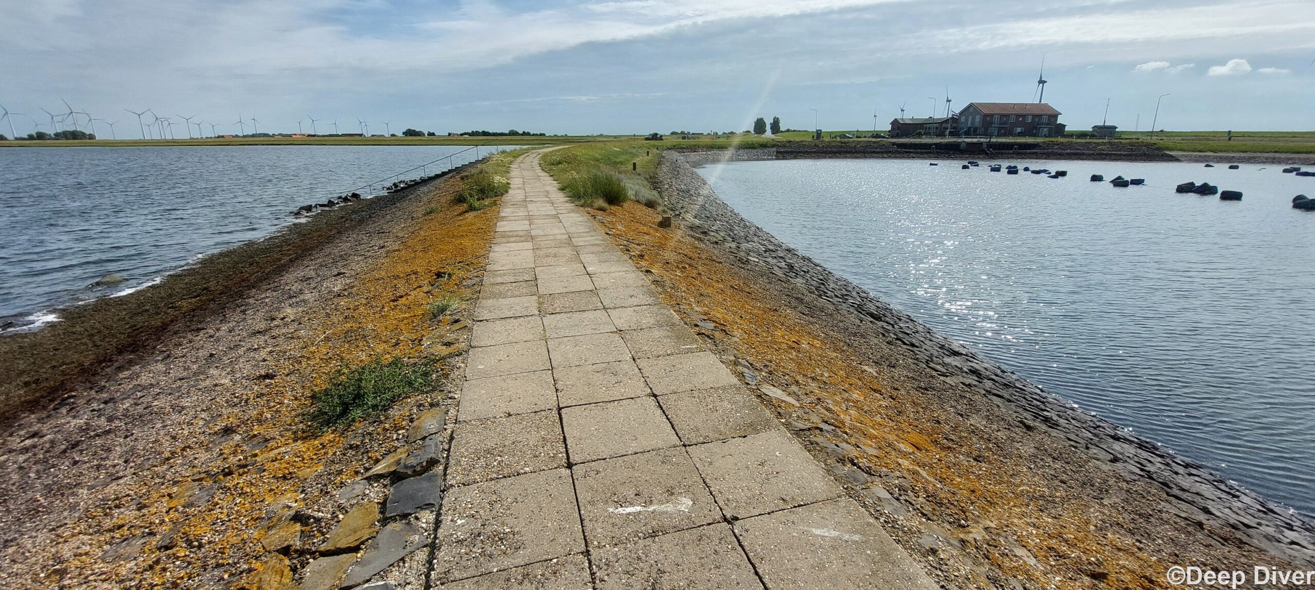 Clubduik Anna Jacoba Polder